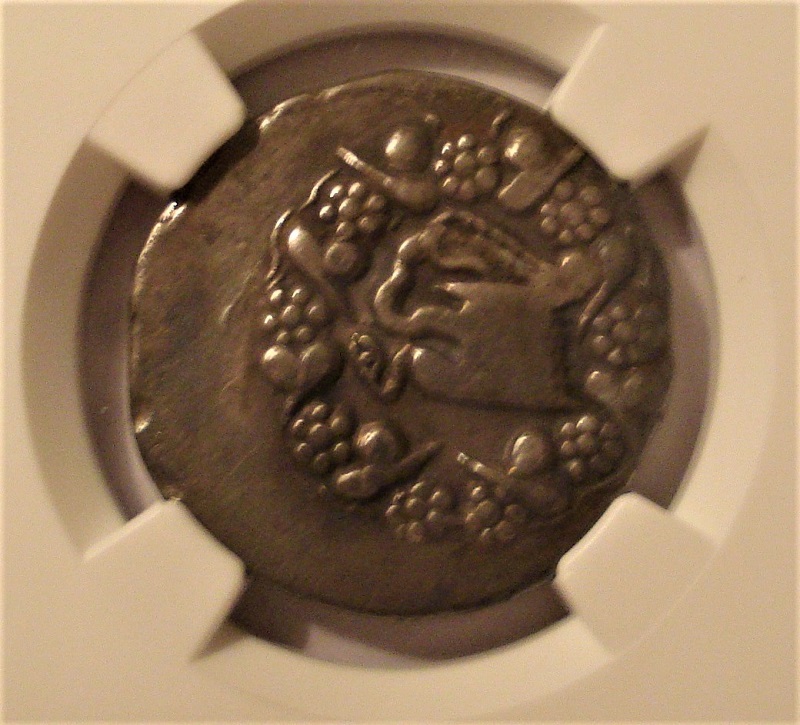 Continuing-List-To-Show-Everyones-Latest-Acquisitions