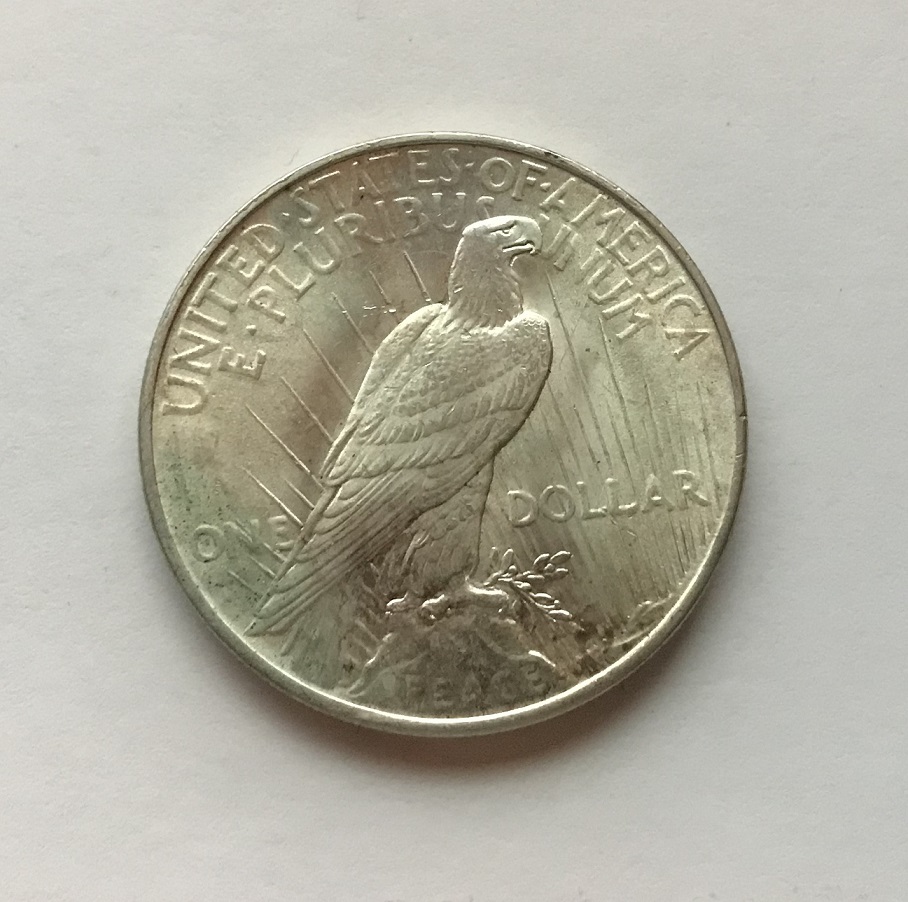 Need-Help-Grading-This-1922-Peace-Dollar.