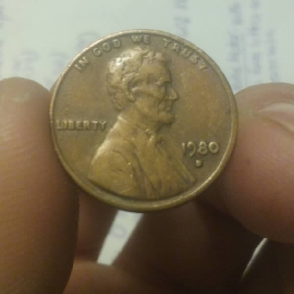 Can-Someone-Identify-This-Damage-?