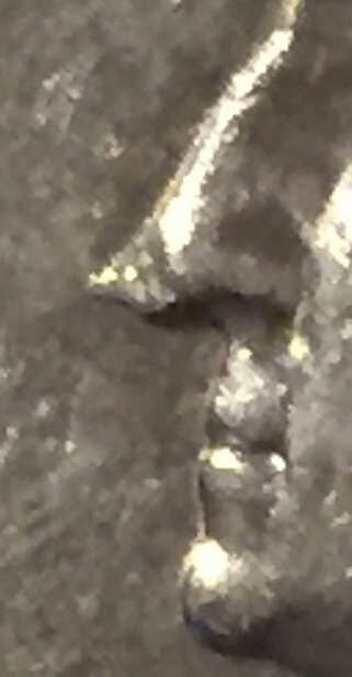 Possibly-1995-D-Washington-Nose-Error
