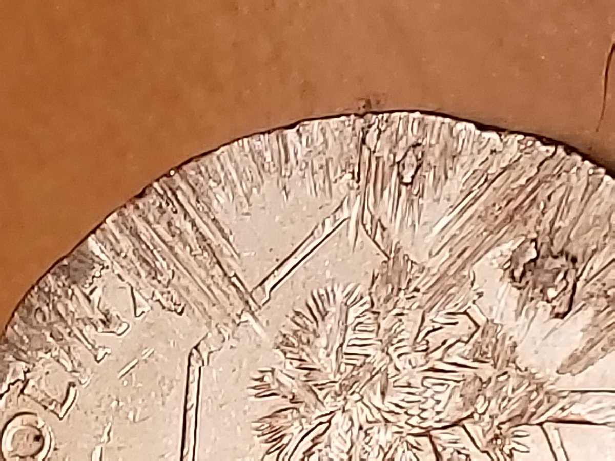 Rookie-Quarter-Question---2009-South-Carolina-Quarter