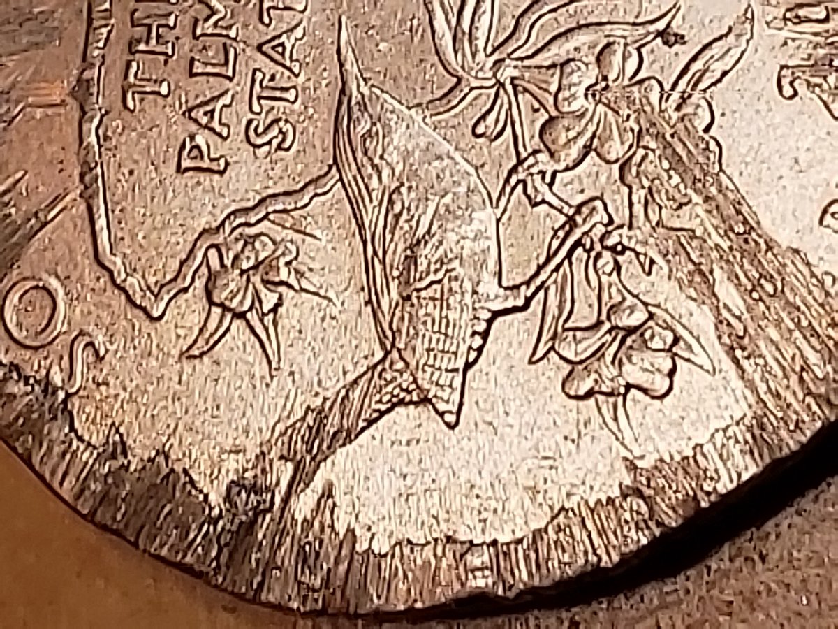 Rookie-Quarter-Question---2009-South-Carolina-Quarter