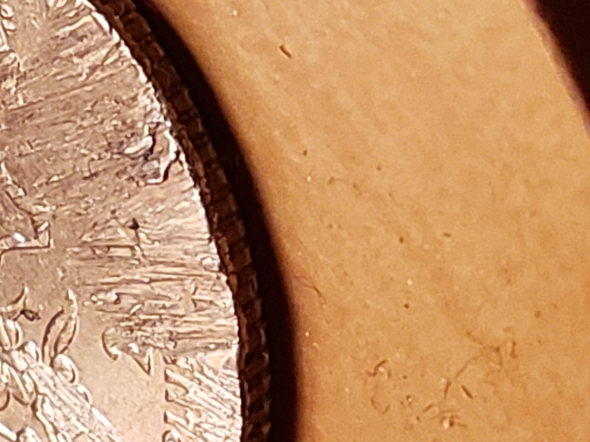 Rookie-Quarter-Question---2009-South-Carolina-Quarter