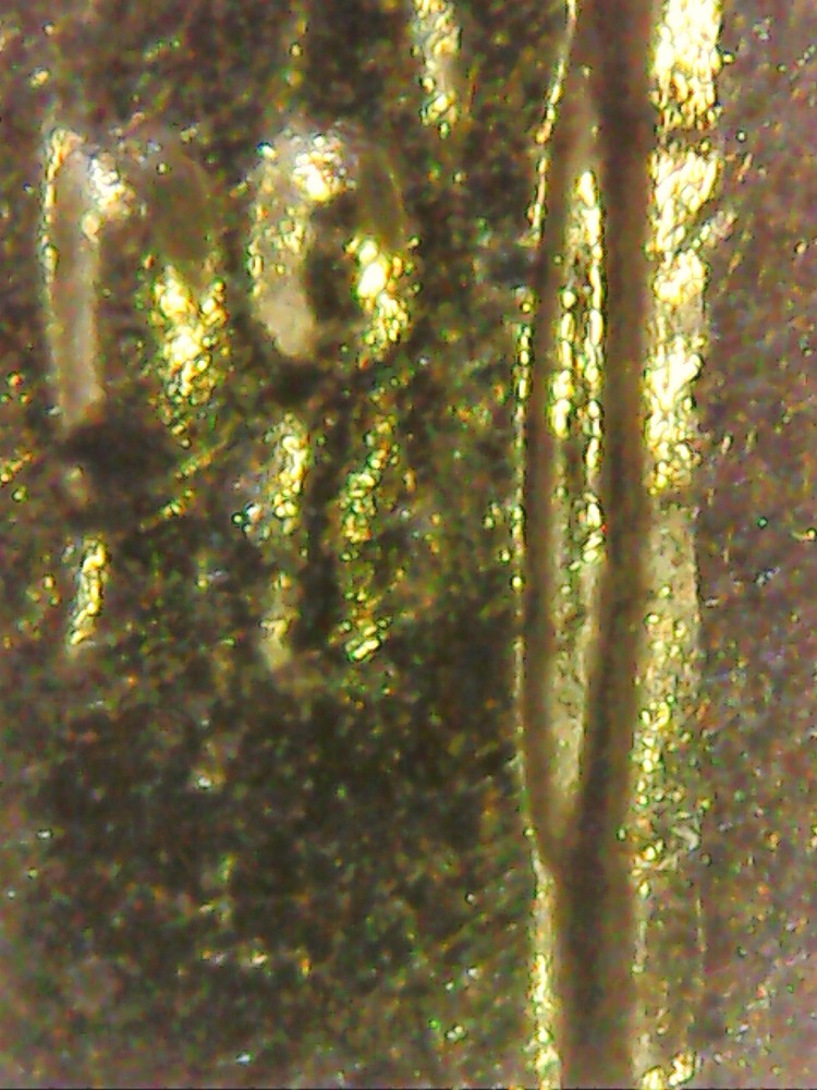 Best-Microscope-For-Coins?