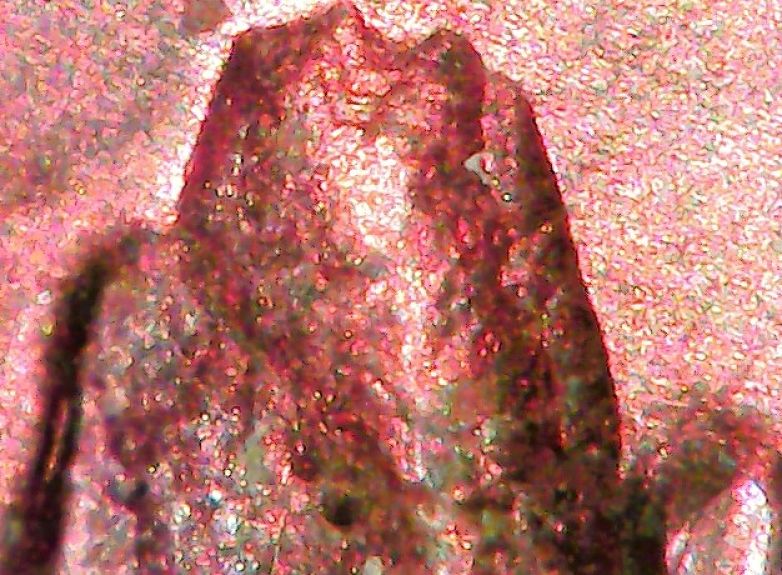 1983-D-LMC-Struck-Through?