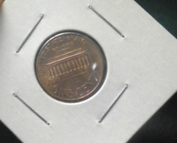 Largest-Cud-I've-Found-So-Far!