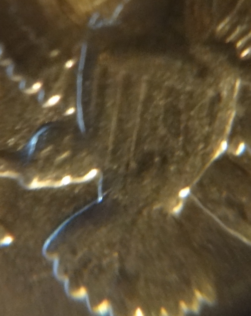 JFK-Half-Dollar-Roll-Hunters:-Silver,-Proofs-And-Other-Finds