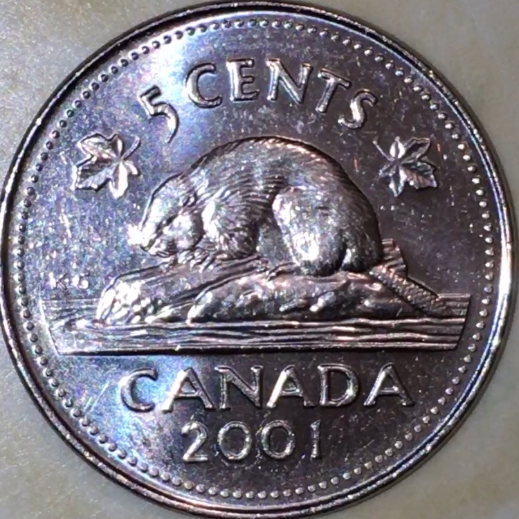 2001-P-5-Cent-Bare-Belly?