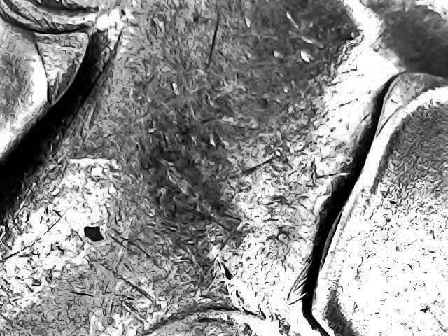 Heavy-Filling-Around-Queen-On-A-1964-Nickel-Common?
