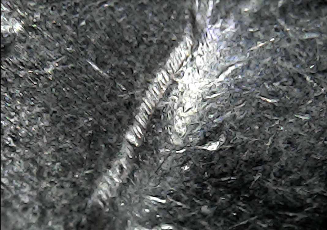 2001-P-Jefferson,-Fuzzy-Looking-Die-Lines-Outlining-His-Head