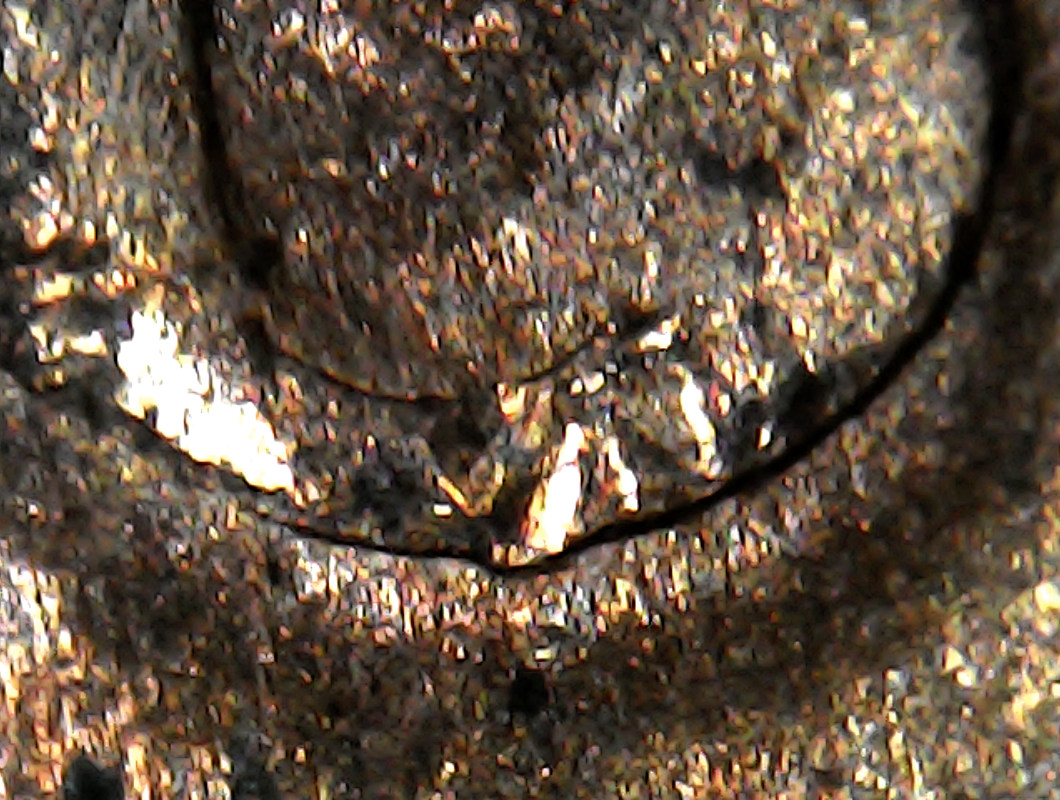 1978-1-Cent-With-Weird-Looking-8,-Raised/Doubled?
