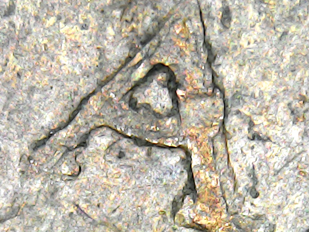 1967-1-Cent,-Doubled-Die-Obverse,-Think-I-Finally-Found-It!