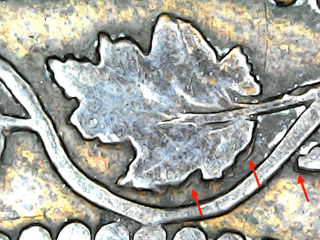 1881-H-Large-Cent,-Does-All-Of-This-Look-Normal-For-This-Year?
