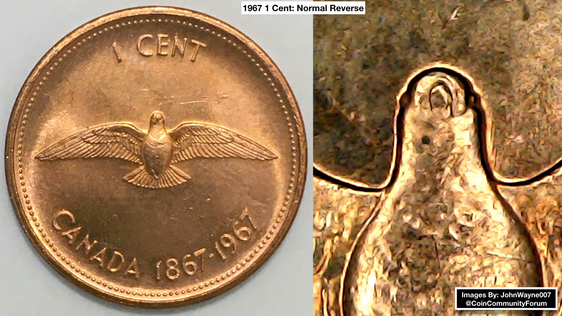 1967-1-Cent,-Beakless-Birds-From-Original-Bank-Wrapped-Roll
