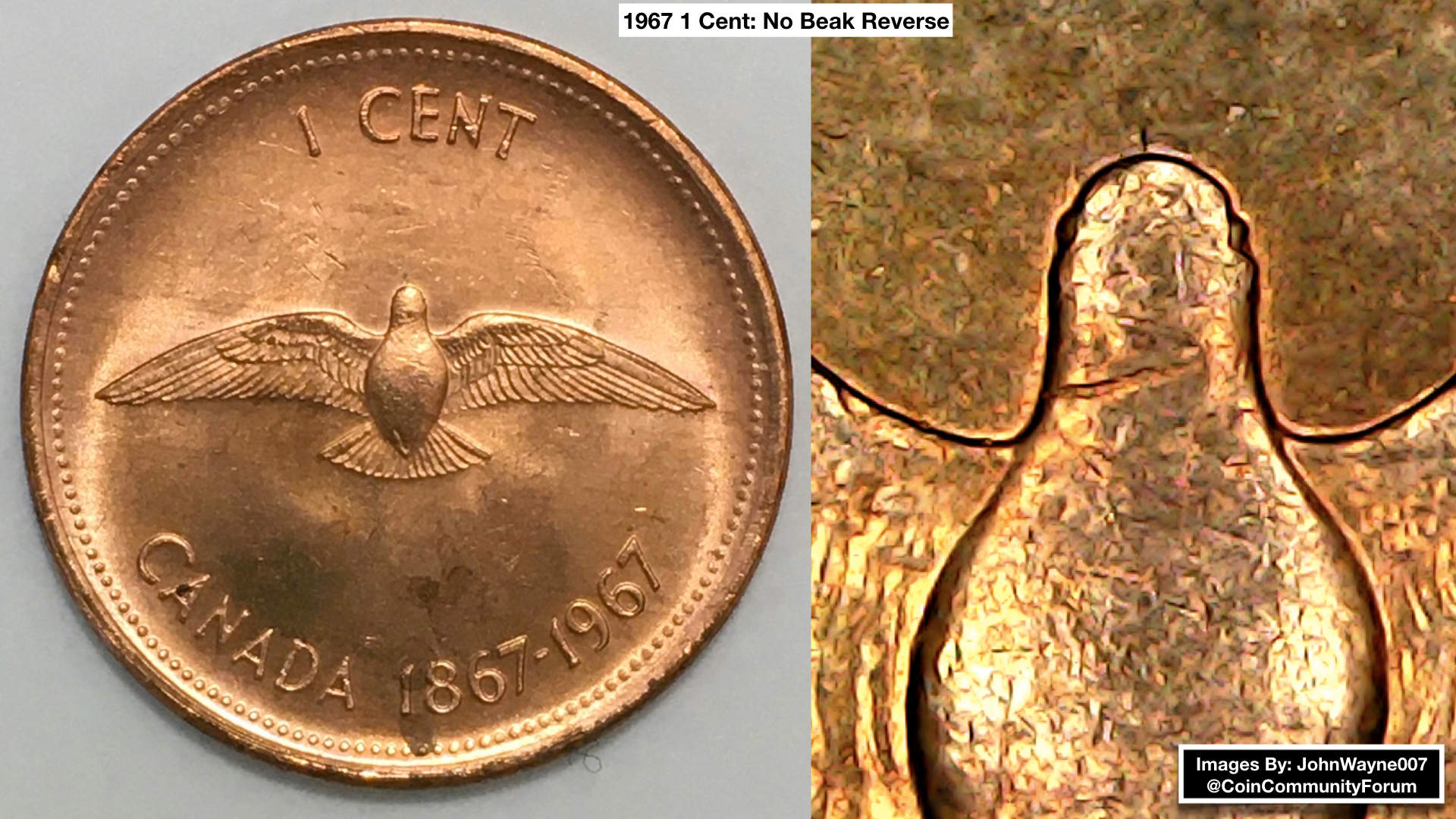 1967-1-Cent,-Beakless-Birds-From-Original-Bank-Wrapped-Roll