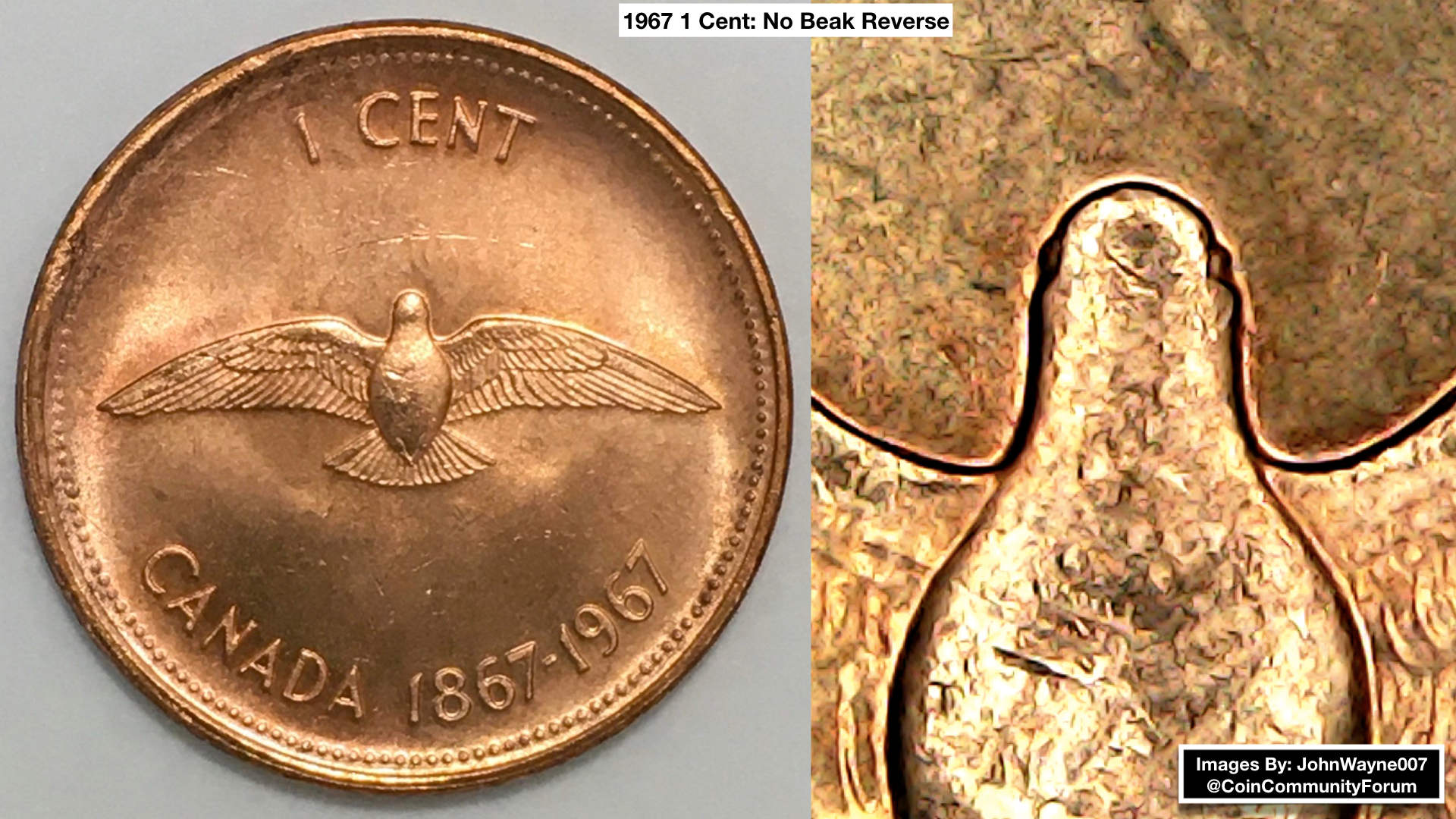 1967-1-Cent,-Beakless-Birds-From-Original-Bank-Wrapped-Roll