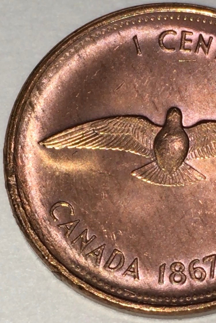 1967-1-Cent,-Beakless-Birds-From-Original-Bank-Wrapped-Roll