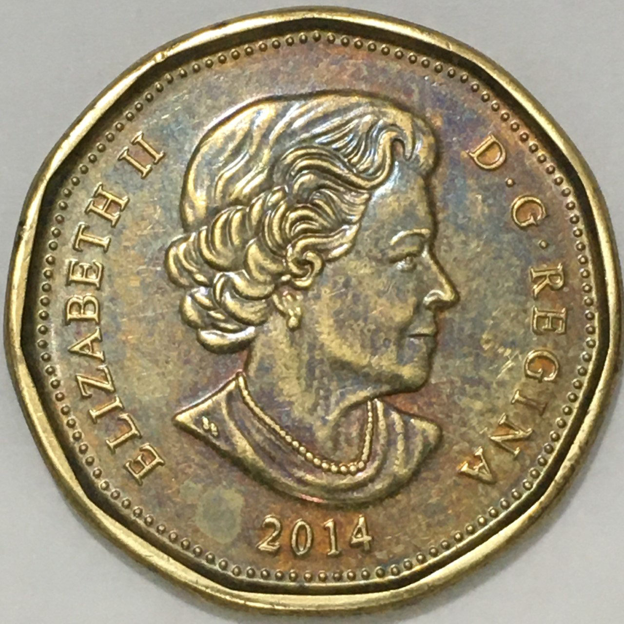 2014-Lucky-Loonie-DDR