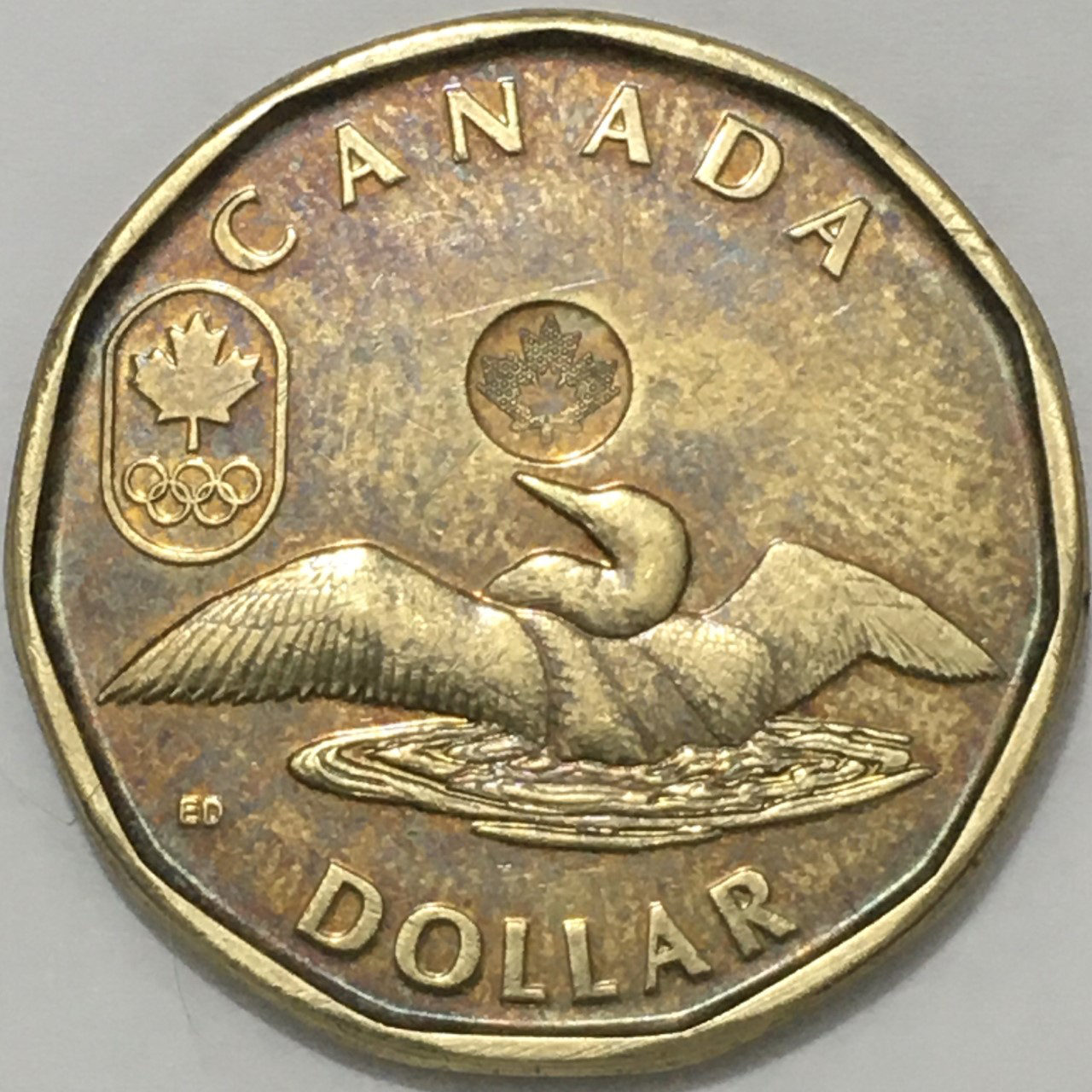 2014-Lucky-Loonie-DDR