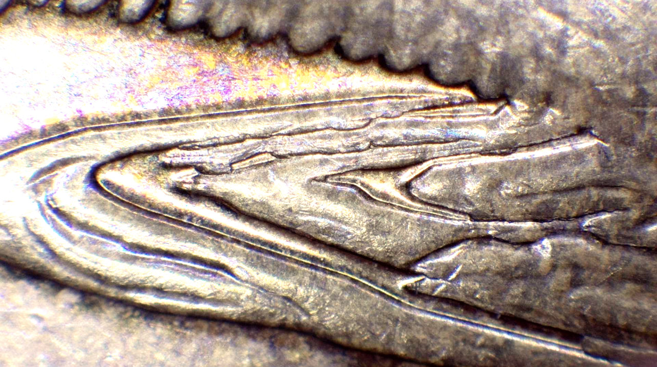 2014-Lucky-Loonie-DDR