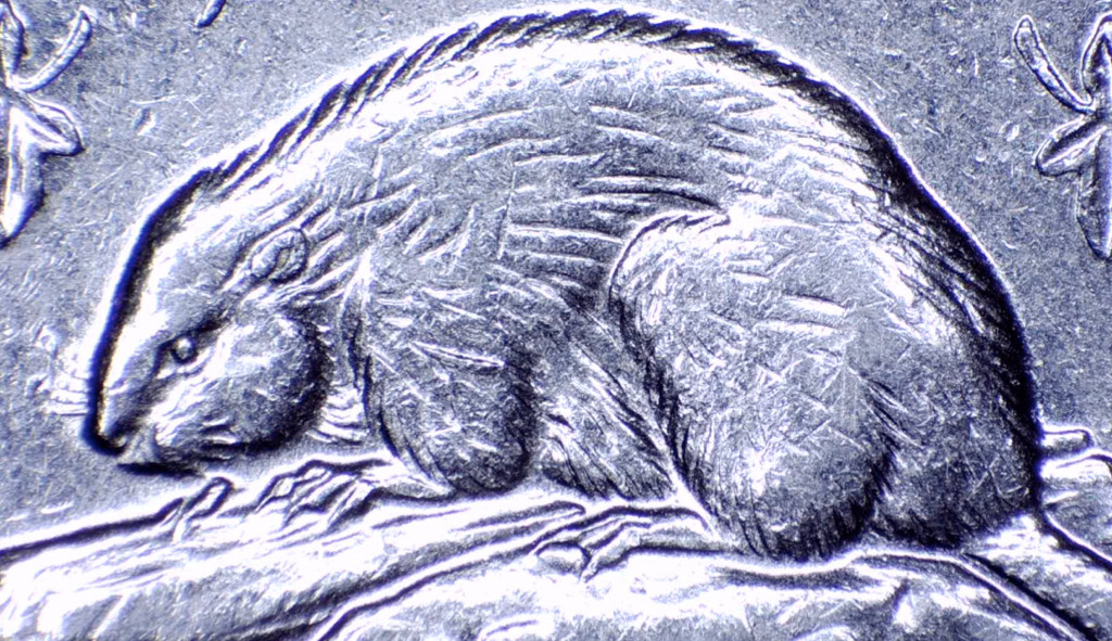 1978-5-Cent-Nickel-With-Excessive-Polishing-Bare-Belly