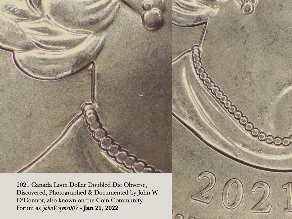 2021-Loon-Dollar---New-Doubled-Die-Obverse-Discovery