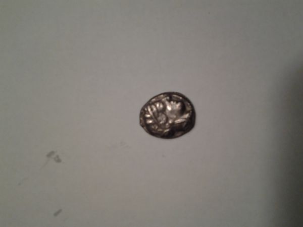Aoe-Owl-Coin-Need-Help