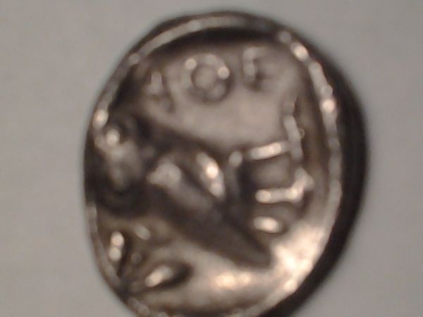 Aoe-Owl-Coin-Need-Help
