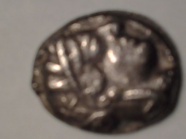 Aoe-Owl-Coin-Need-Help