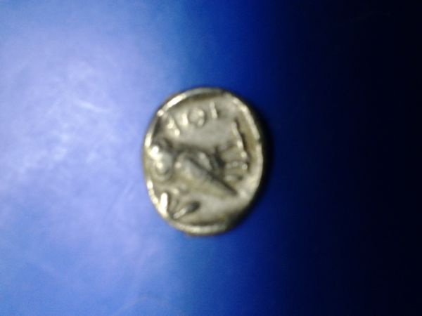 Aoe-Owl-Coin-Need-Help
