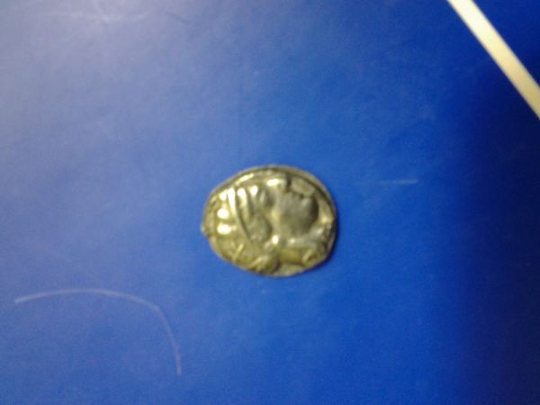 Aoe-Owl-Coin-Need-Help