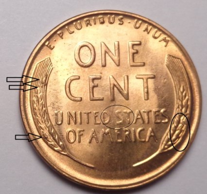 1955-S-Gold-Tone-Obverse