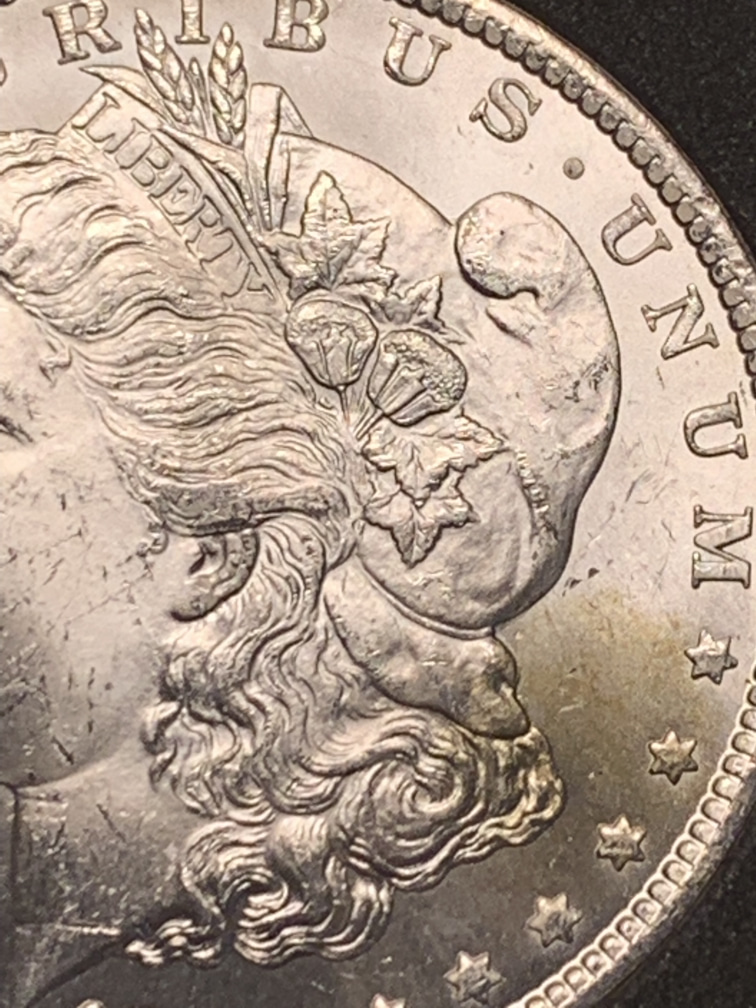 1882-CC-Please-Grade