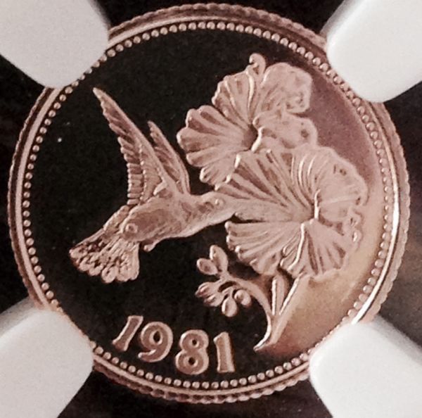 1981-Belize-Gold-$50-Jacobin-Hummingbird-NGC-Graded-PF69-Uc!