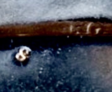 Hello-From-CA---1991-Eisenhower-Error-+-Rare-1988-Penny-MM-?
