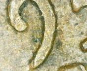 1950-D-Penny-Do-You-See-Anything?