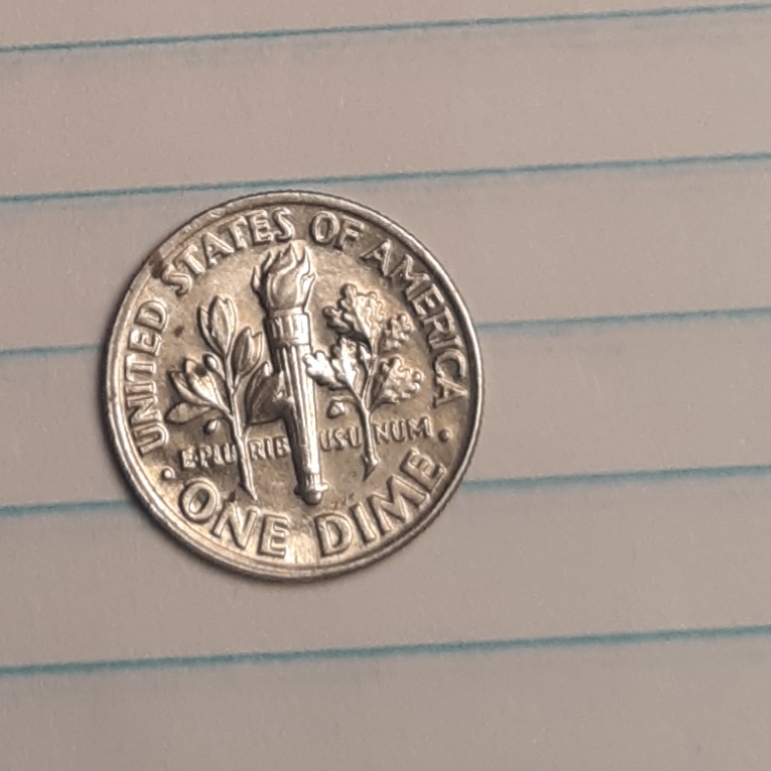 1990-P-Roosevelt-Dime-Please-Help