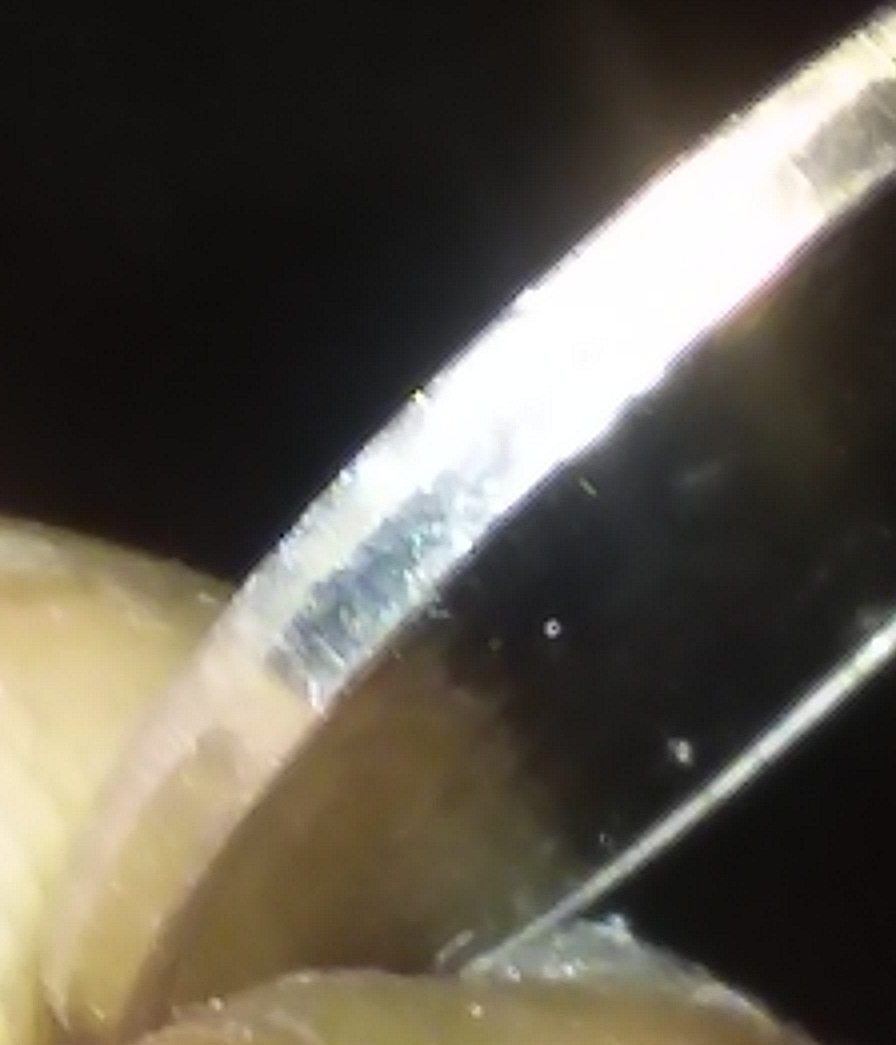 2017-D-Nickel-With-Silver-Finish-Reverse