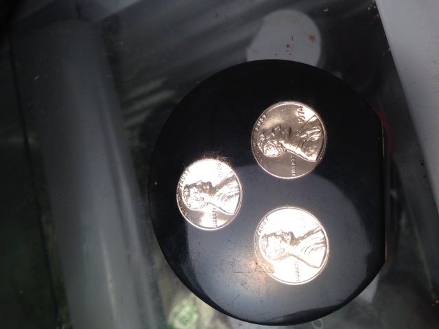 1974-Aluminum-Lincoln-Memorial-Cent---Don't-Freak-Out.