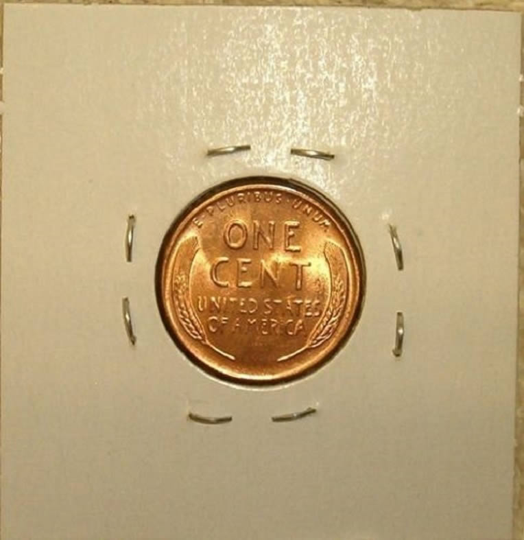 1955-D-/-D-WRPM---2-Verification