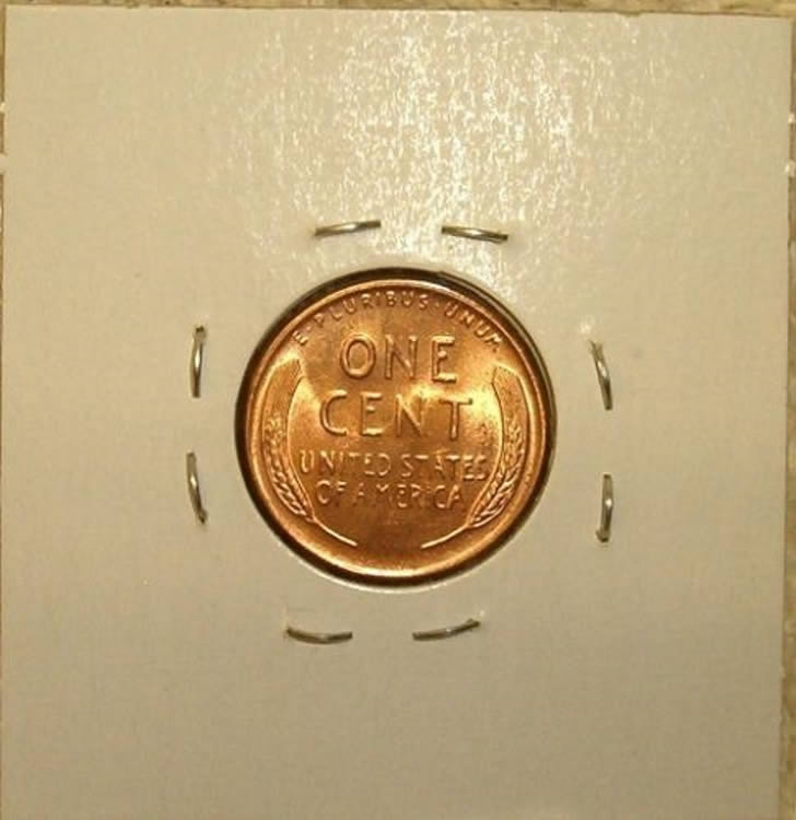 1955-D-/-D-WRPM---2-Verification
