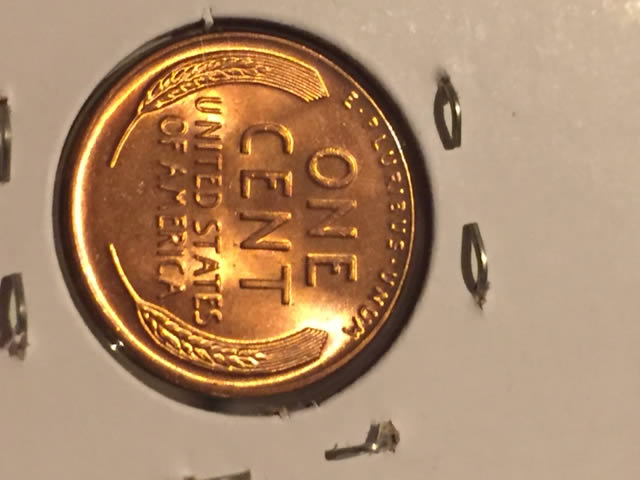 1955-P-LWC-Worth-Grading?