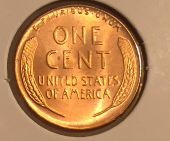 Awesome-LWC-1955,-Please-Grade