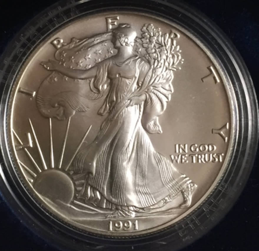 1991-Silver-Eagle-Grade-Please