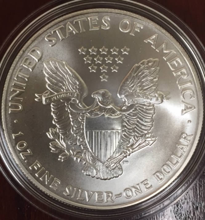 1991-Silver-Eagle-Grade-Please