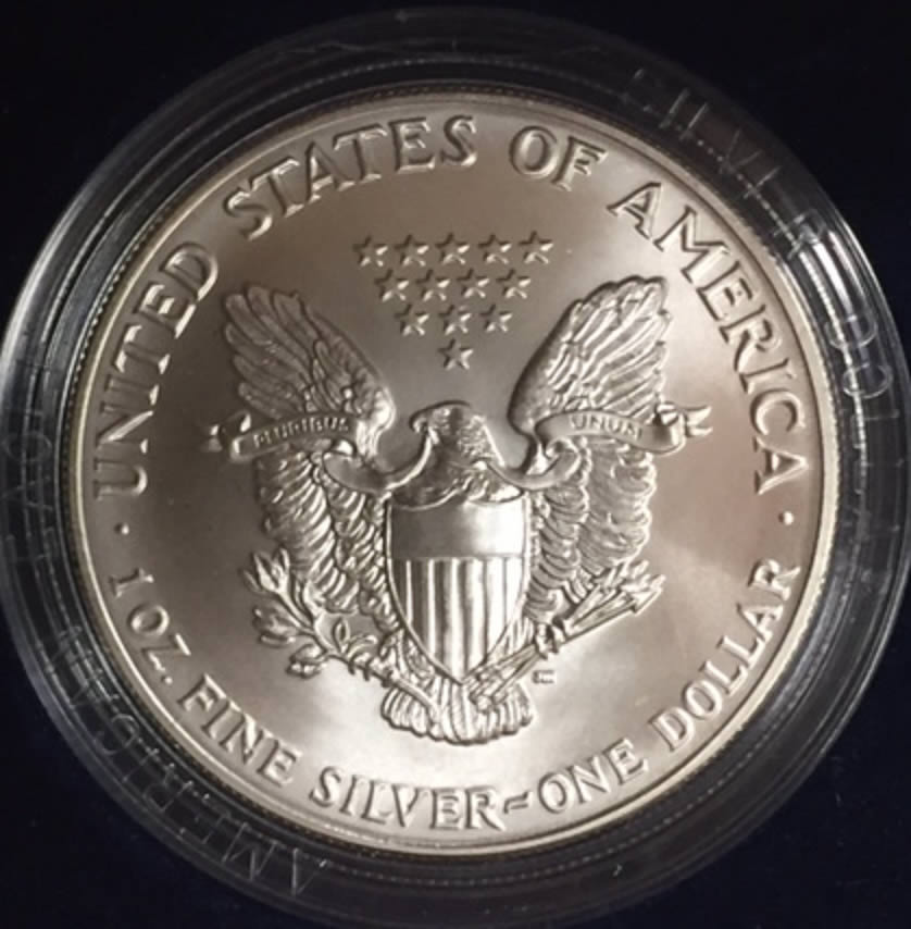 1991-Silver-Eagle-Grade-Please