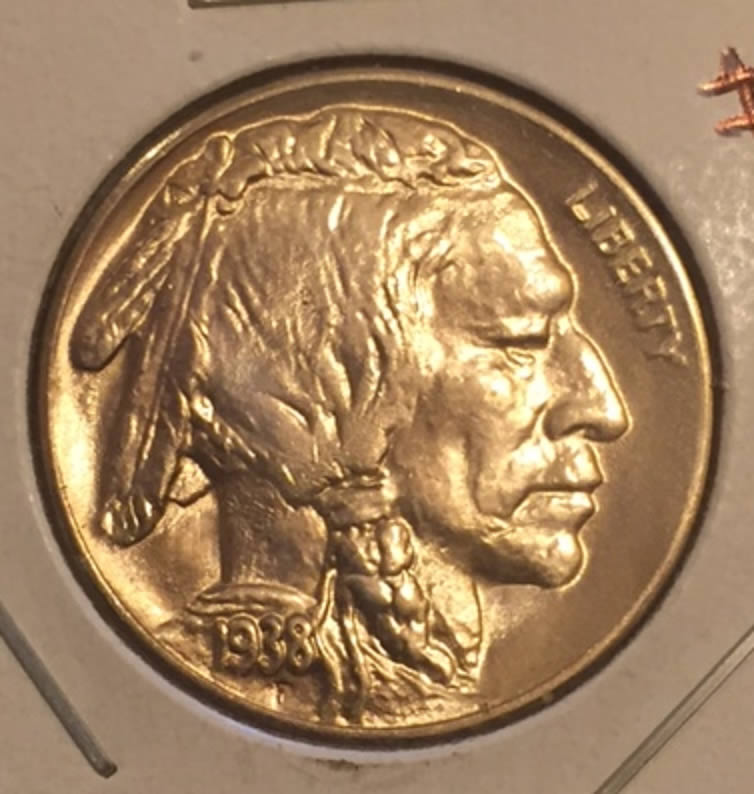 Please-Grade-My-1938-D/D-Buffalo-Nickel