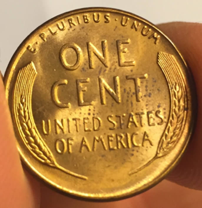 1955-Lincoln-Penny-For-Grading