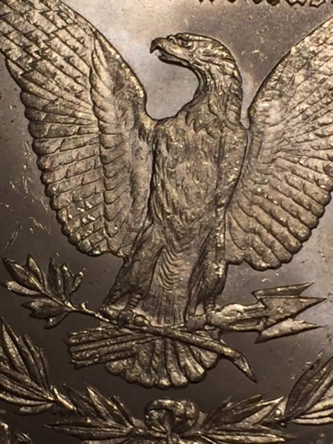 1878-Morgan-VAM-11-Grade-Please