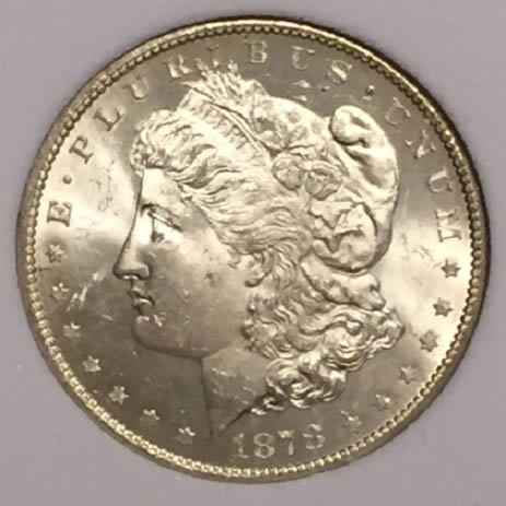 1878-Morgan-VAM-11-Grade-Please